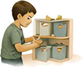 ORGANIZE